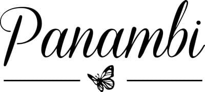 Panambi